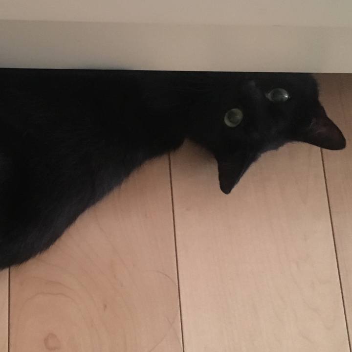 Ce3c303f 212c 4d14 9f74 5350d7cb1e75