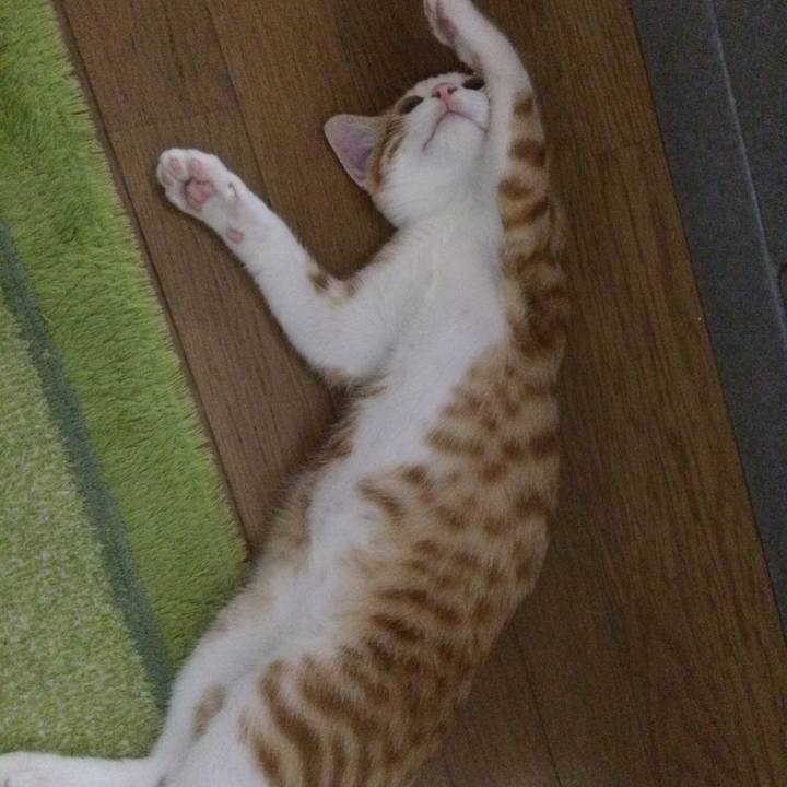 Ce3c4ce3 cfe4 4be0 b115 6bced8d2d58a