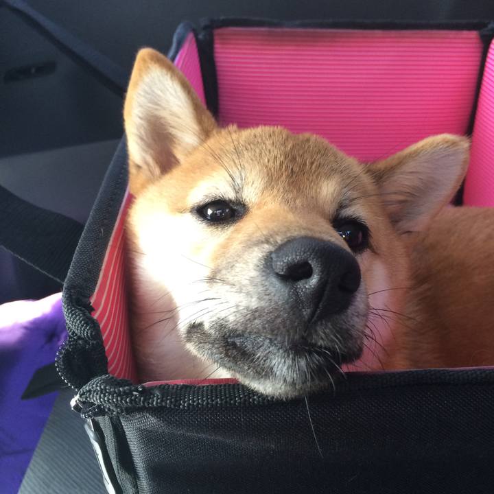 Ce3c90b4 44a5 4133 90fa d7fbce330b8f