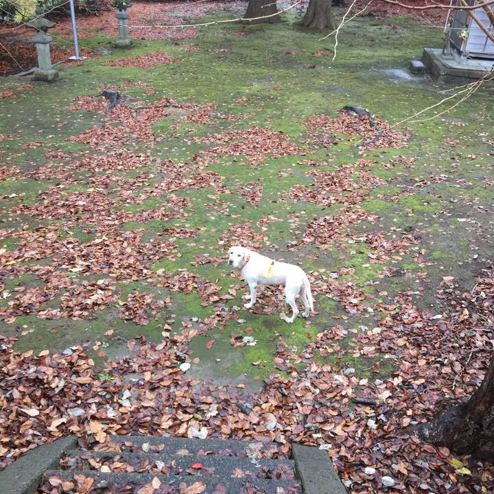 Ce3cbf87 c0bb 4cf9 b932 ed332ef89ab3