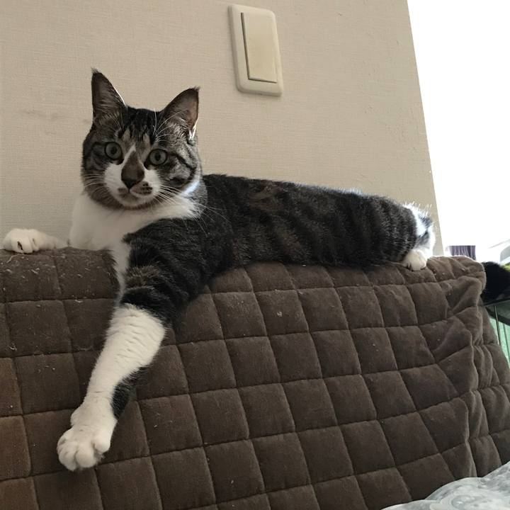 Ce3d0cf9 170f 4192 ae6f a6d61a646e77