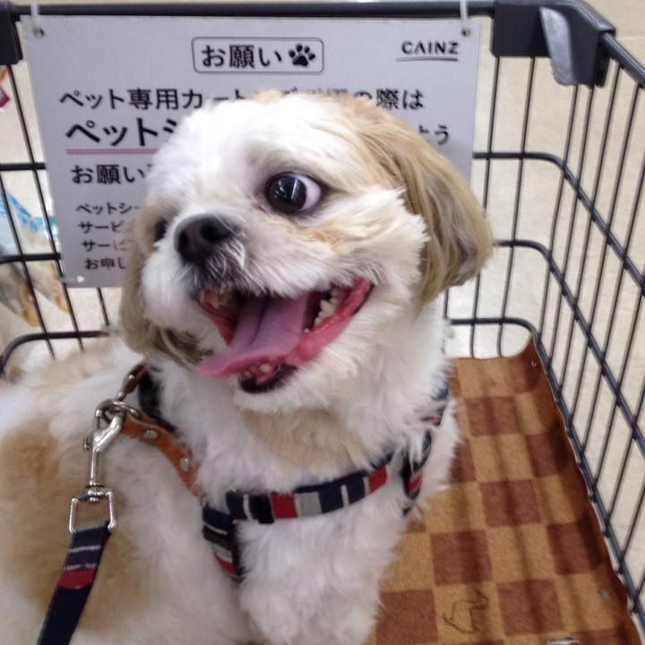 Ce3d8ef5 1b28 4156 88d7 a0c51927613d