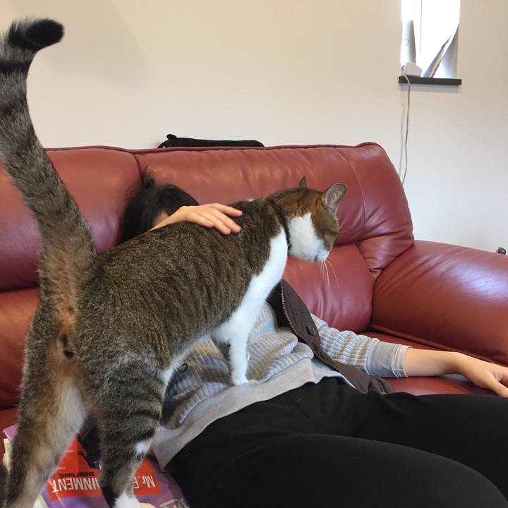 Ce3de452 accb 4ca8 8eaa 9356758e9f44