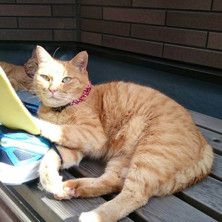 Ce3e47a6 535b 474c b661 55f5cb2de52c