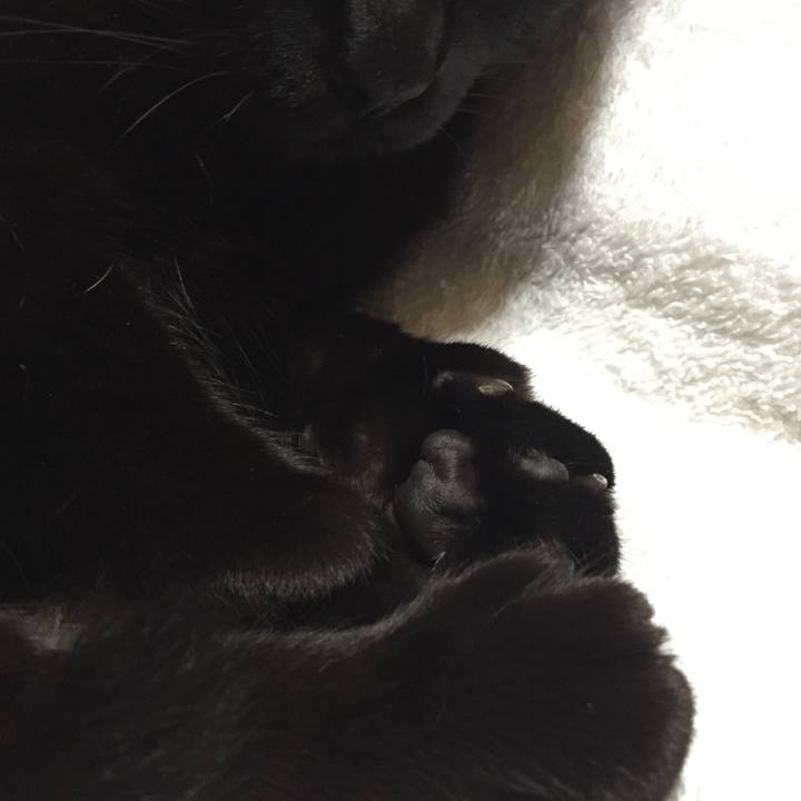 Ce3e8504 acd3 4a98 8a36 4c9a3acd3577