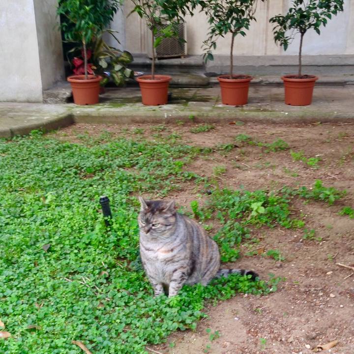 Ce3f94ed 0b91 44a0 aca2 86f5faf02859