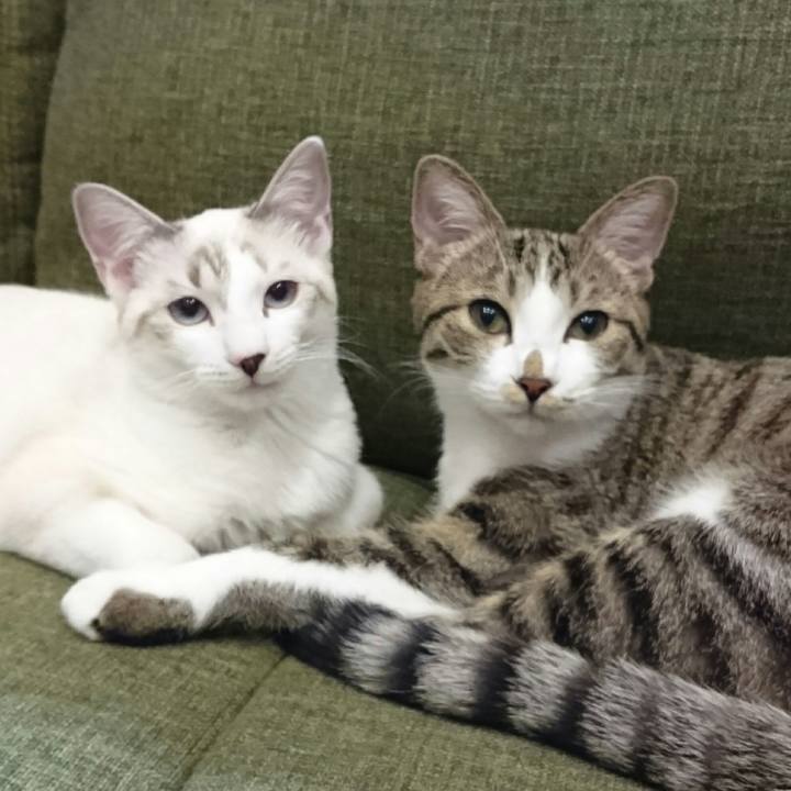 Ce3fdf7d 531b 472a b024 f9862975f6e5