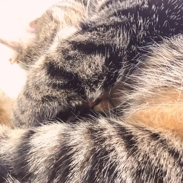 Ce408543 1f52 4c18 8d61 6ab878fa88fc