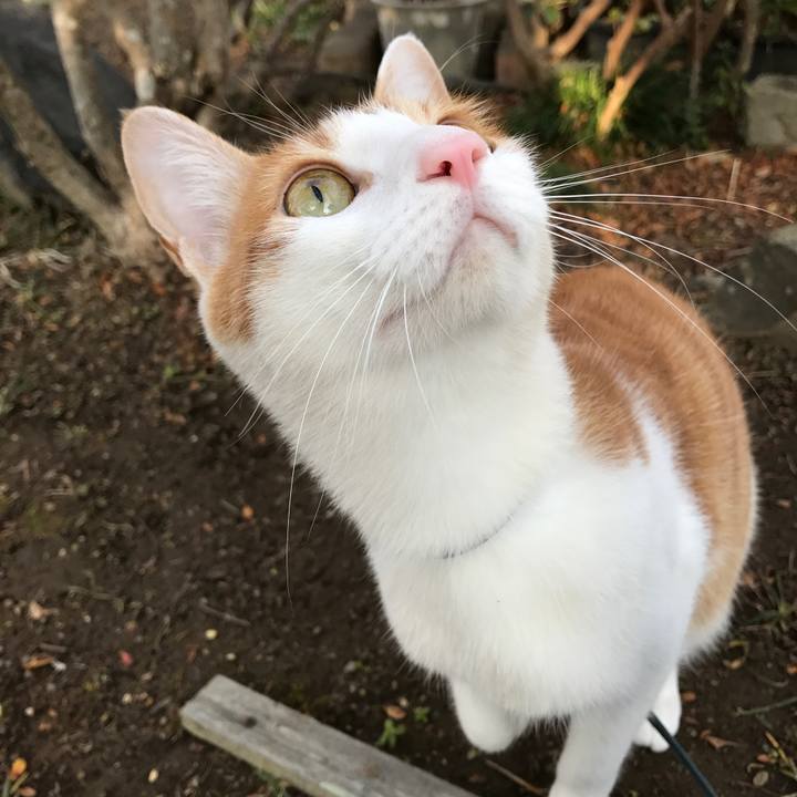 Ce40b2c4 9057 4249 bc37 9f6ebe927e48