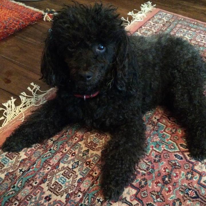 Ce40d2ae 53cd 4501 b782 71c929fee6ca