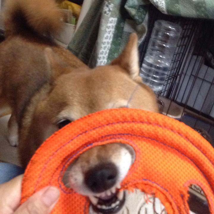 Ce40dbe3 5b11 4b3c 97fb fe51c382ba1b