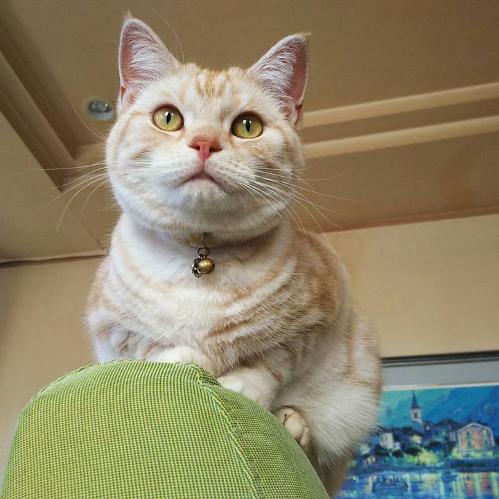 Ce414ba6 8863 4b90 ba38 2fffd8638a25