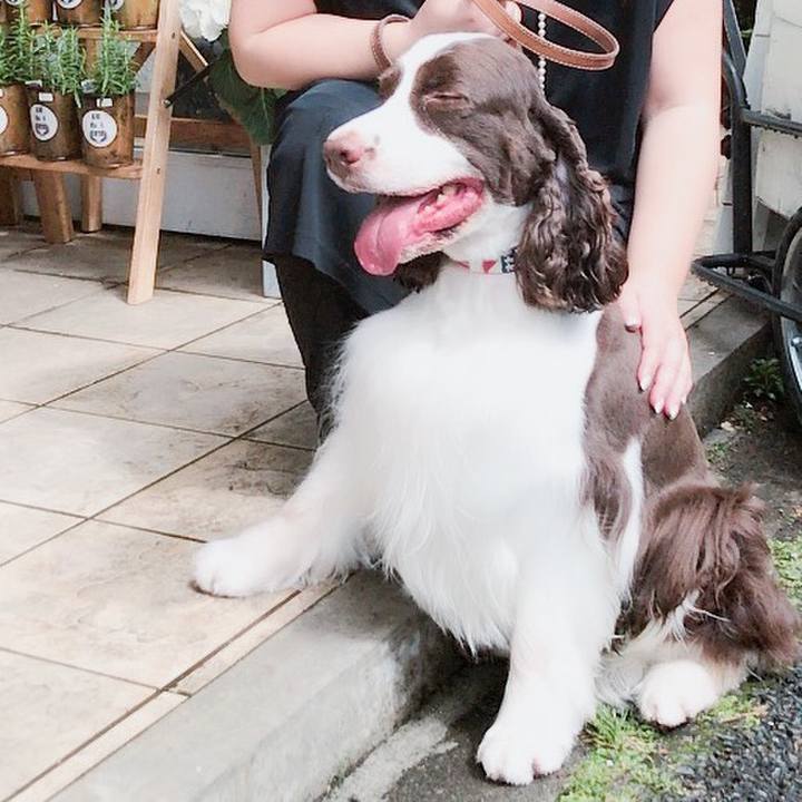 Ce41ba37 1cef 442f 95cf fcbb08673fff