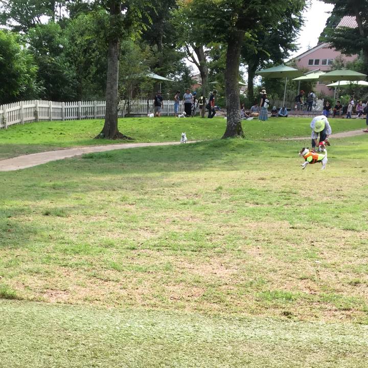 Ce429725 1047 423d bc06 8f24102cdd0d