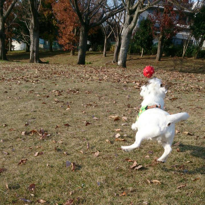 Ce430219 244a 4170 85d9 1a4c1bccf8d9