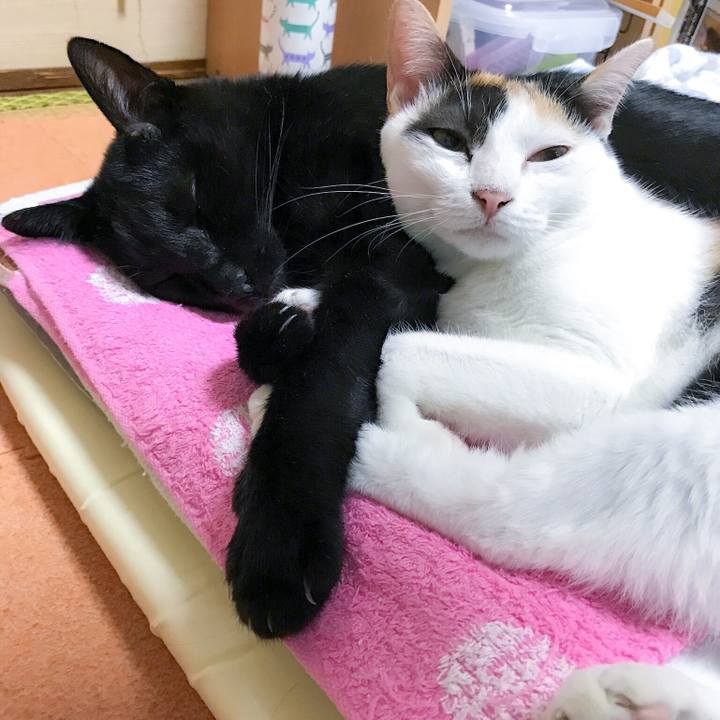 Ce430b0c 21a4 4244 993b 6fef28b7ba65