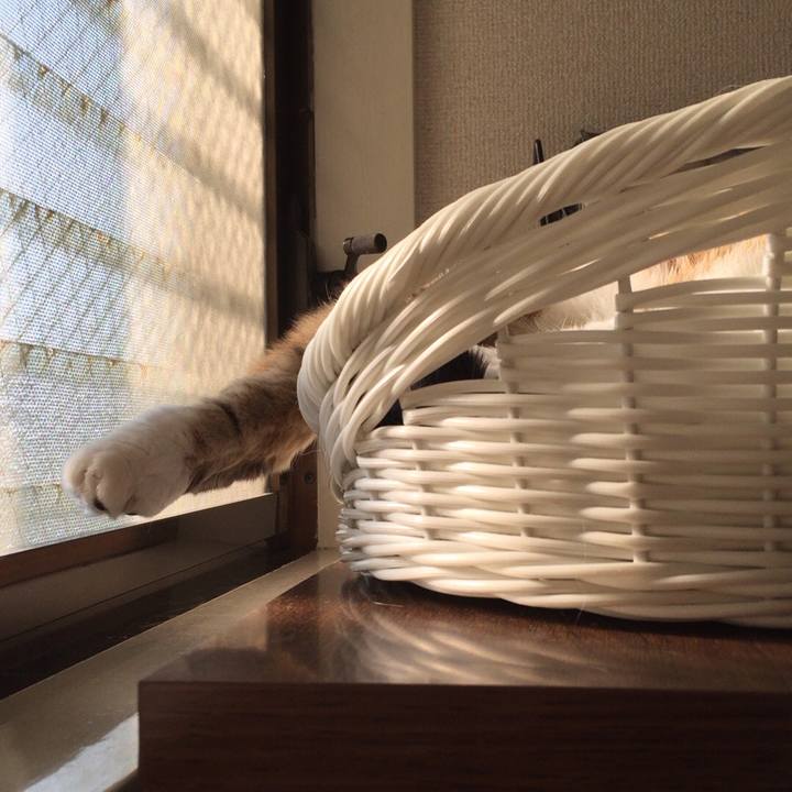 Ce4368c9 c628 4385 acf1 41f174d0537f