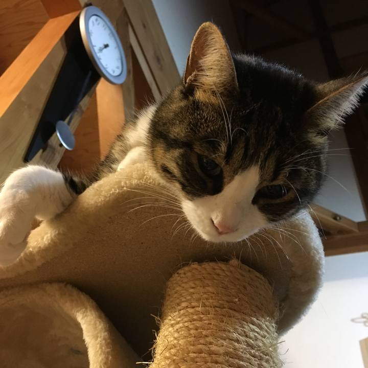 Ce43de75 3be3 4452 86f6 c797589a7683