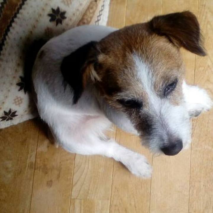 Ce43e804 6297 47d8 9276 145db566602f