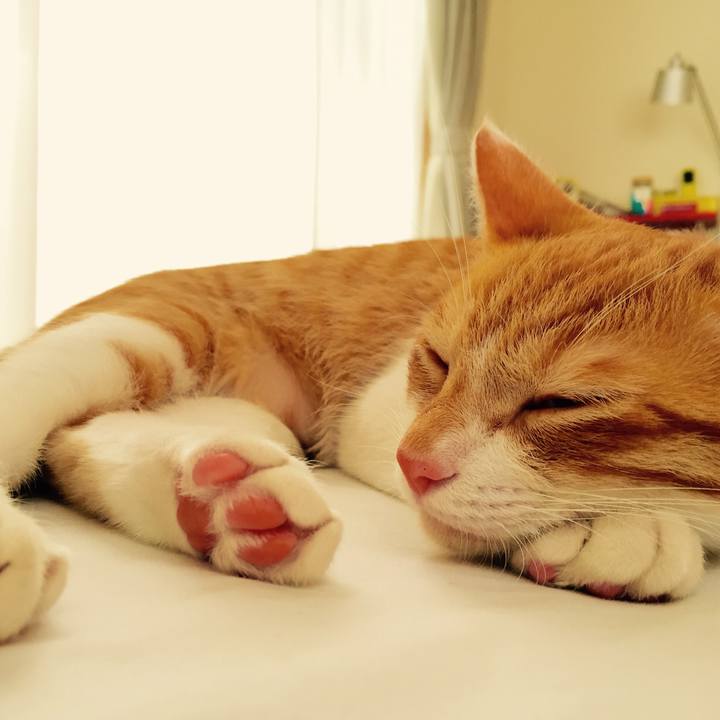 Ce441b1e 0082 495a b017 ccb22d98109e