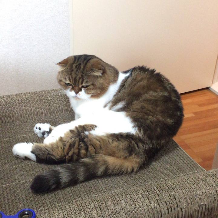 Ce44d50b 7449 4ba3 ba7e b58e75e4bca1