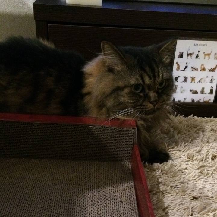 Ce45afbc 3b62 4db9 a7cc cd67a6bbc164