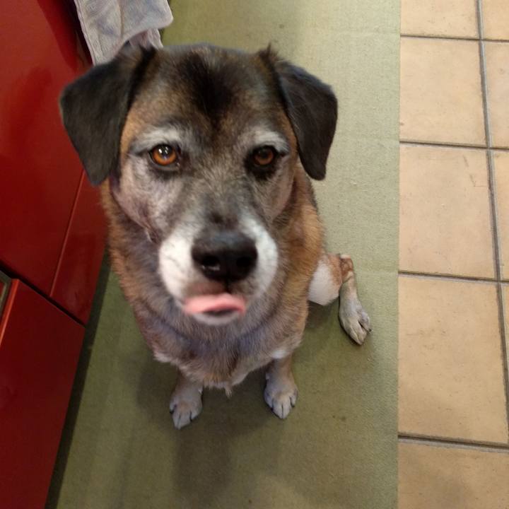 Ce45f608 6c9b 42a2 a87a 854a395da4e0