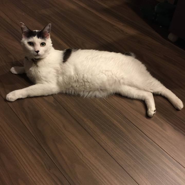 Ce462145 03e5 469d bacf 02e1afced33b