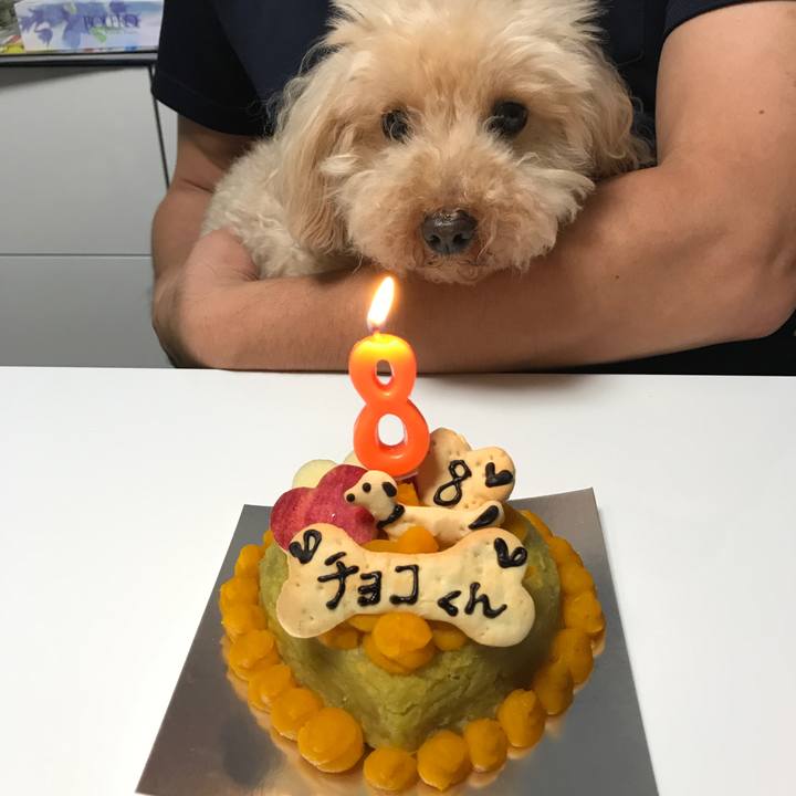 Ce469b64 0674 4f71 ab8a e22b3cbdeb25