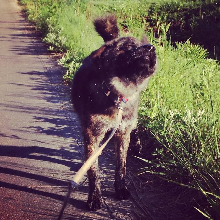 Ce471052 4277 4704 acdc b29370b4cf86