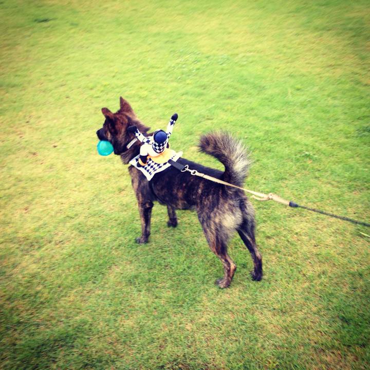 Ce471372 2c5b 4746 aa55 d0a908223ea9