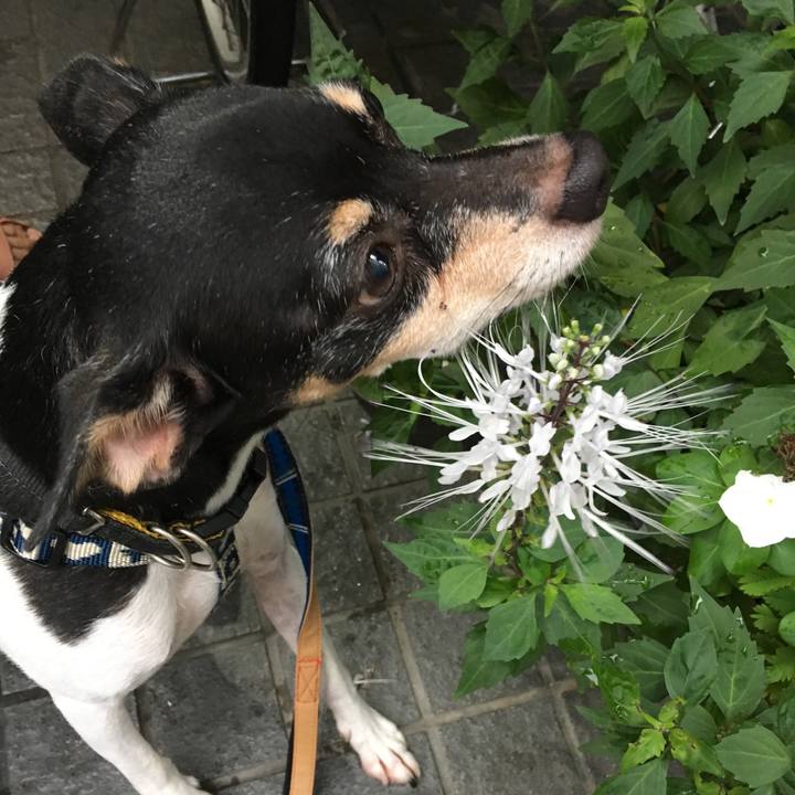 Ce473eb7 1600 495d bcba b40860ae64f3