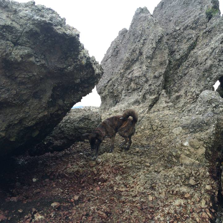 Ce47c392 be6e 48eb a5ed 203fa82219b8