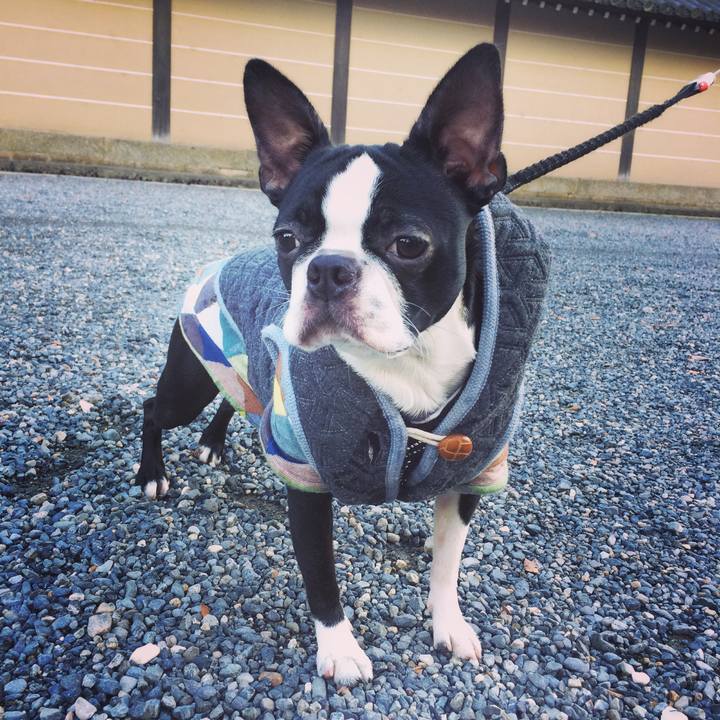 Ce4815de 8f9b 4a10 b026 0a20ada07716