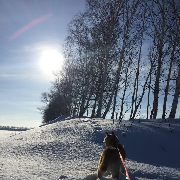 Ce4837a6 0f50 4b3e a45a 0789054a9d10