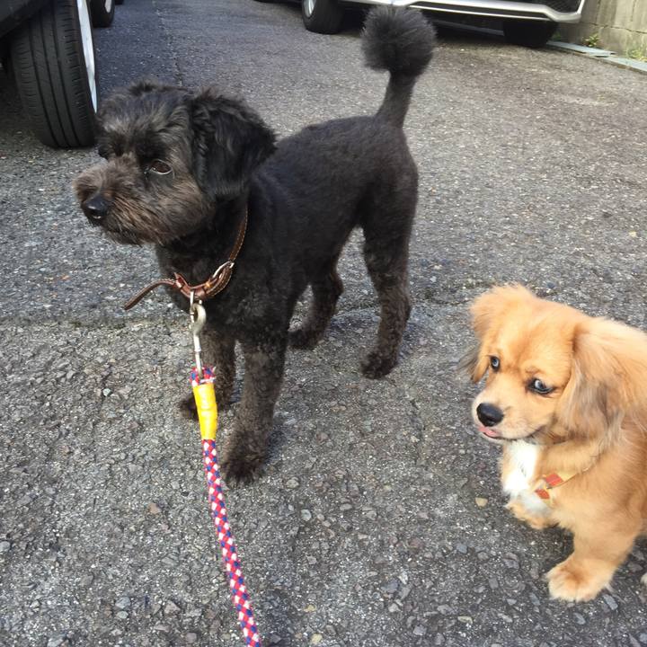 Ce48962a 659d 4902 ae67 37a433b7dc81