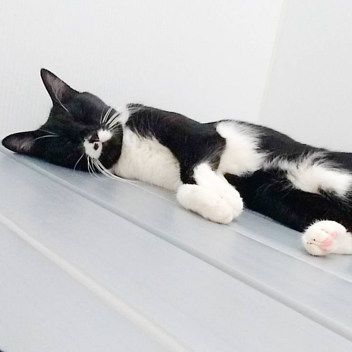 Ce490d12 bfa3 4db8 9863 c0f4f2125e9d