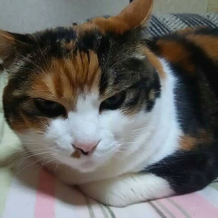 Ce4911cd 560f 4be6 b8d6 e1237fa14f45