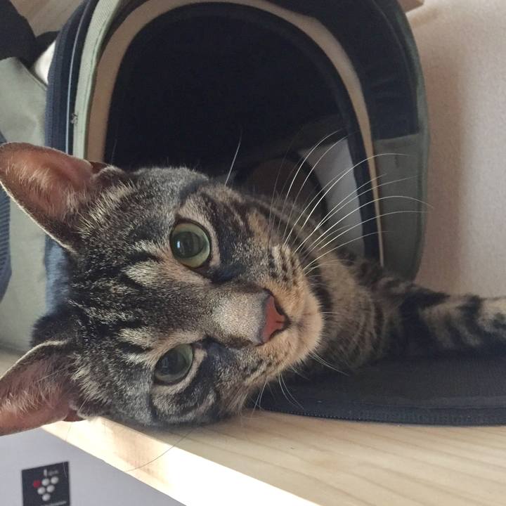 Ce494158 7fd6 41fa af10 74f991b590e9