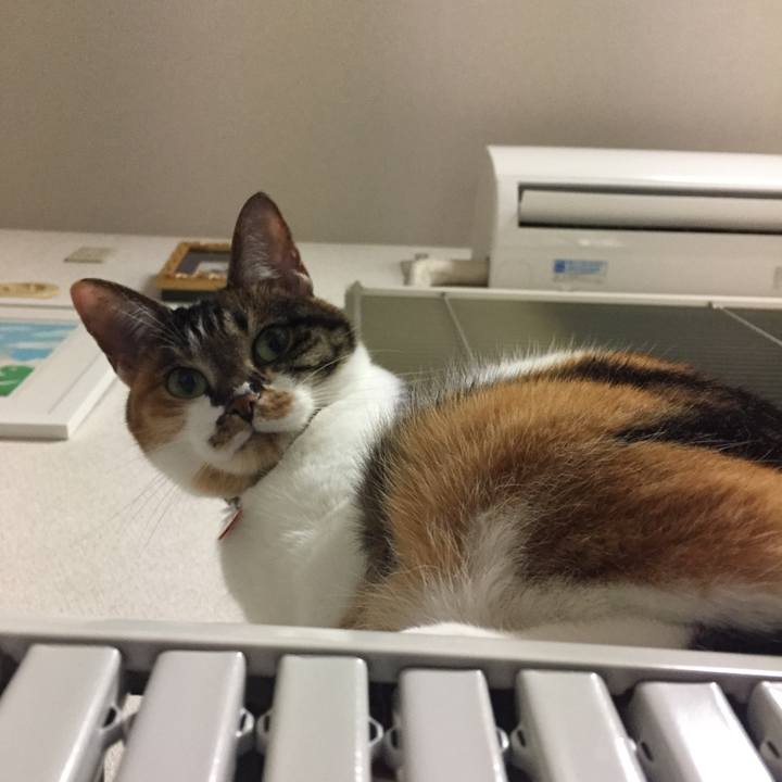 Ce4955eb 37e7 4551 8925 d335d7d5d5d9