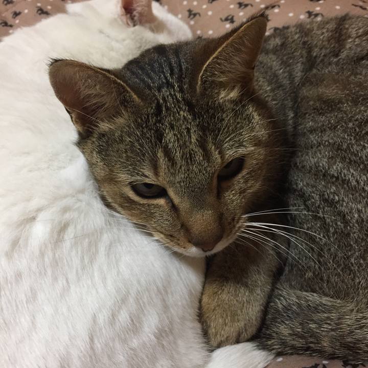 Ce49779f e461 4510 b90f c912d296afa5