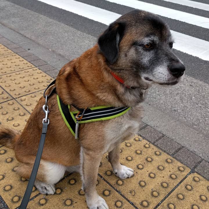 Ce498180 5719 44fe b3c3 3e8986a580fb