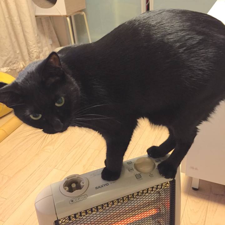 Ce4a6c7d 61f6 4956 b2e2 df4e1f32ff97