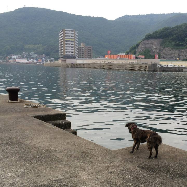 Ce4a71c8 2cfa 455a 9417 9809a04f8979