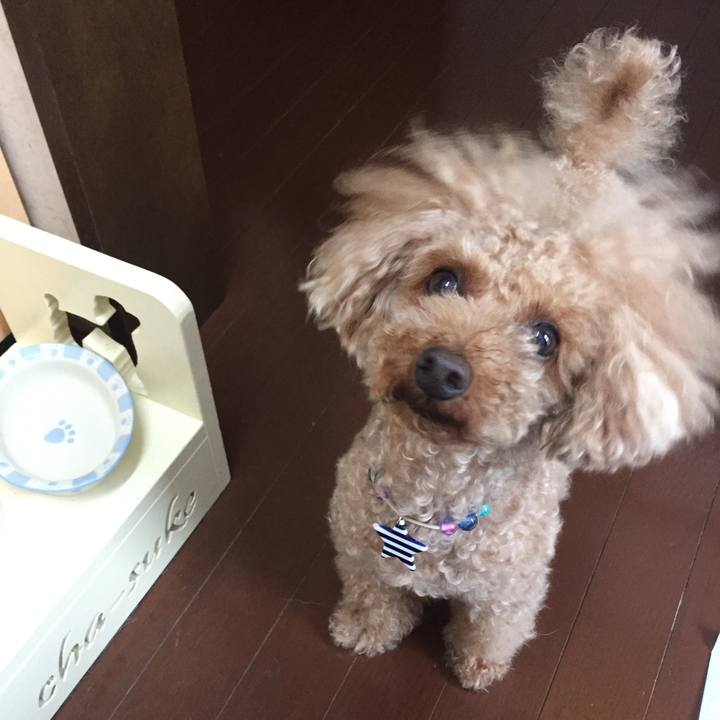 Ce4ac667 50f1 4b1f 956a f85274975ec1