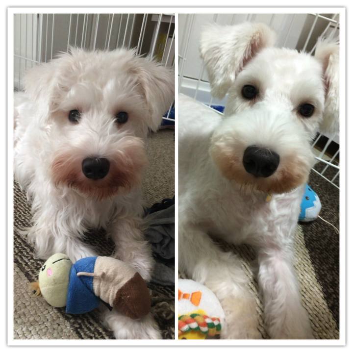 Ce4c17c8 71ff 4e11 98e3 755b97a117c5