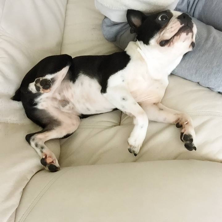 Ce4c2ddd d97e 48c9 97dd 7f0073f74c79