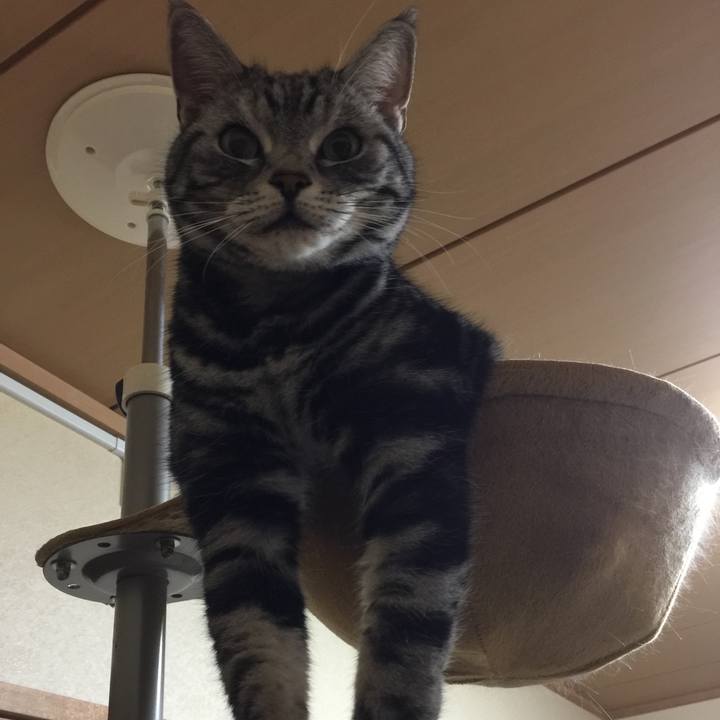 Ce4c3051 2f7e 4ee1 931e 8028c0e15763