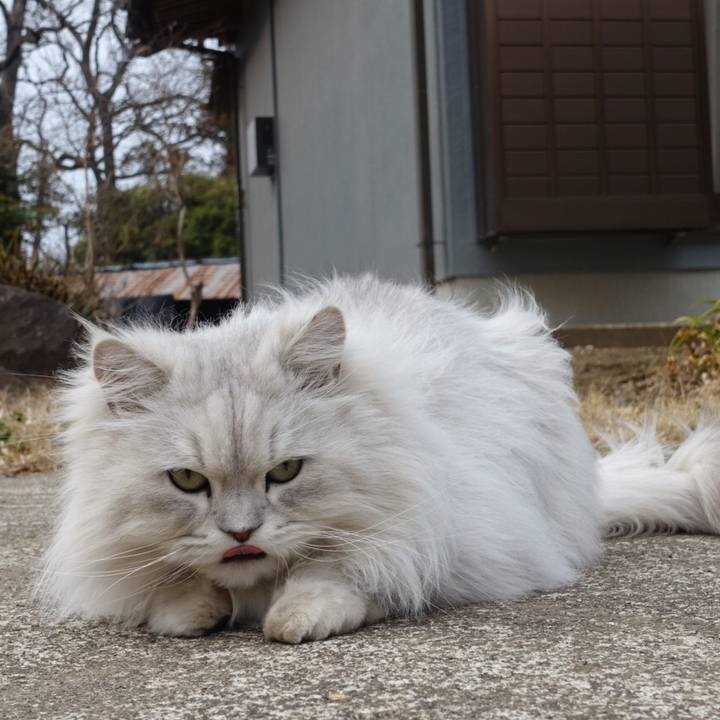 Ce4c78a0 8a01 4ca4 a81a 0ee92464a9bb