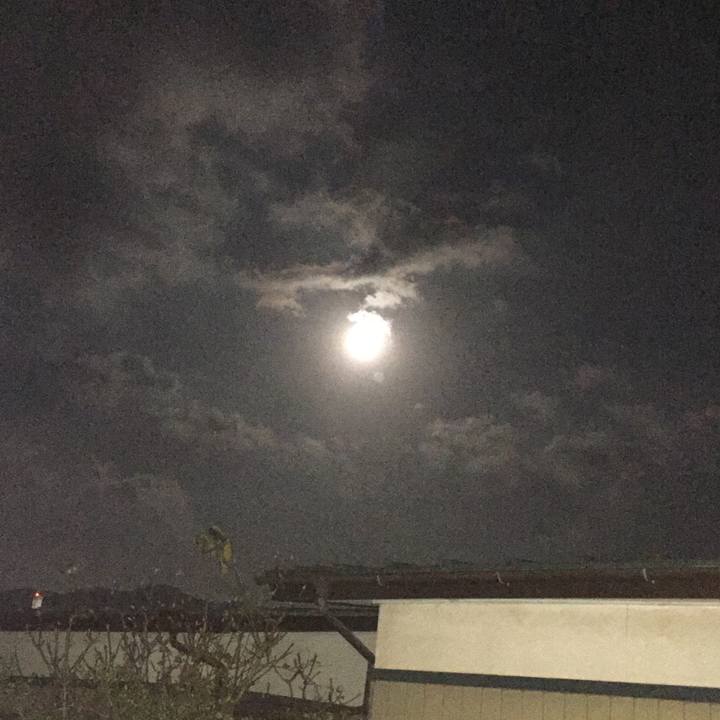 Ce4d0fcc 81b3 4c87 87e6 4e0a6576d151